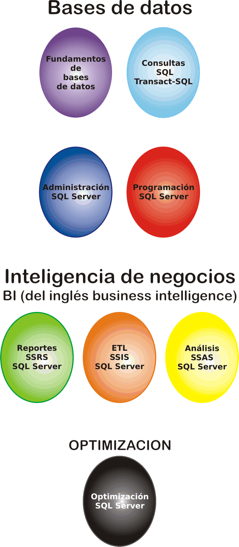 Bases de datos - SQL Server - Reporting - Integration - Analysis